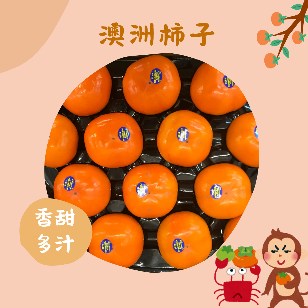 澳洲柿子