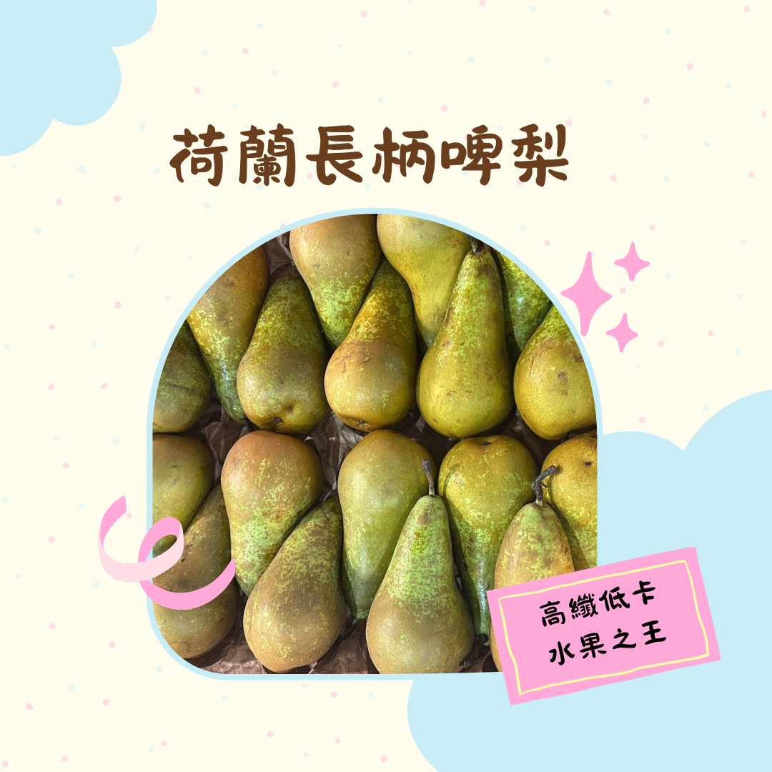 荷蘭長柄啤梨